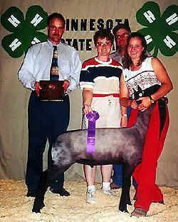 4Hmarketlamb.jpg (46742 bytes)