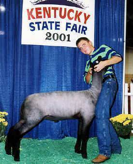 kysuffolkwinner.jpg (62435 bytes)