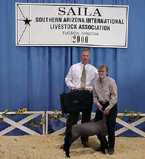 sailechampion.JPG (41937 bytes)