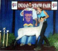 statefair.jpg (68874 bytes)